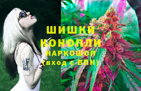 спиды Алзамай
