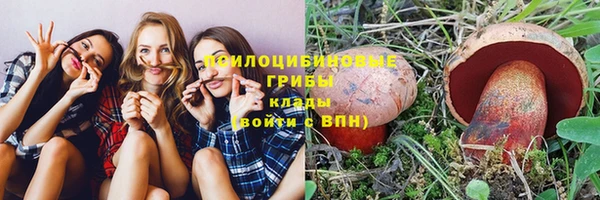 ешки Алексин