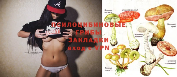 спиды Алзамай